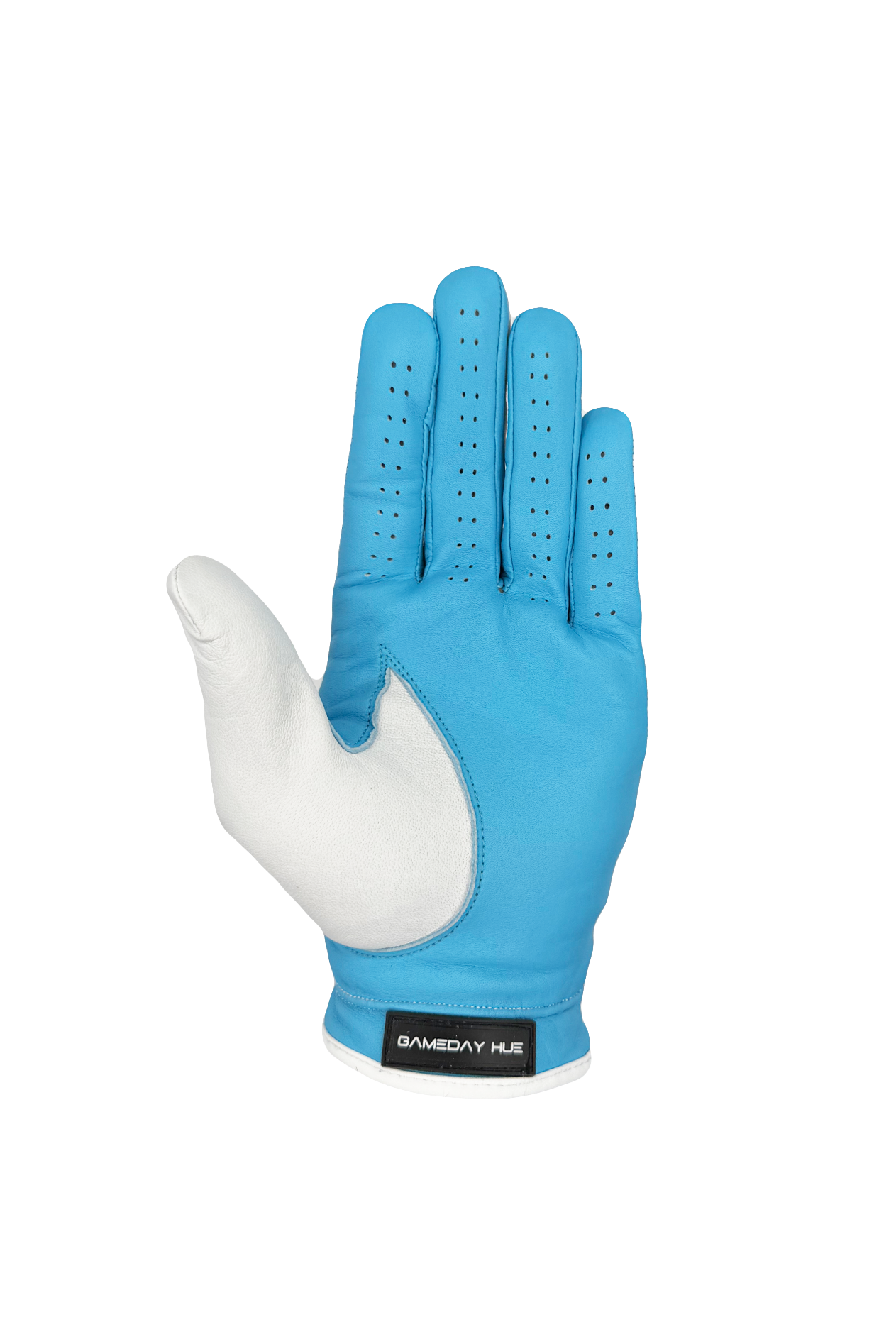 Split Shade Men's Golf Glove | Light Blue & White