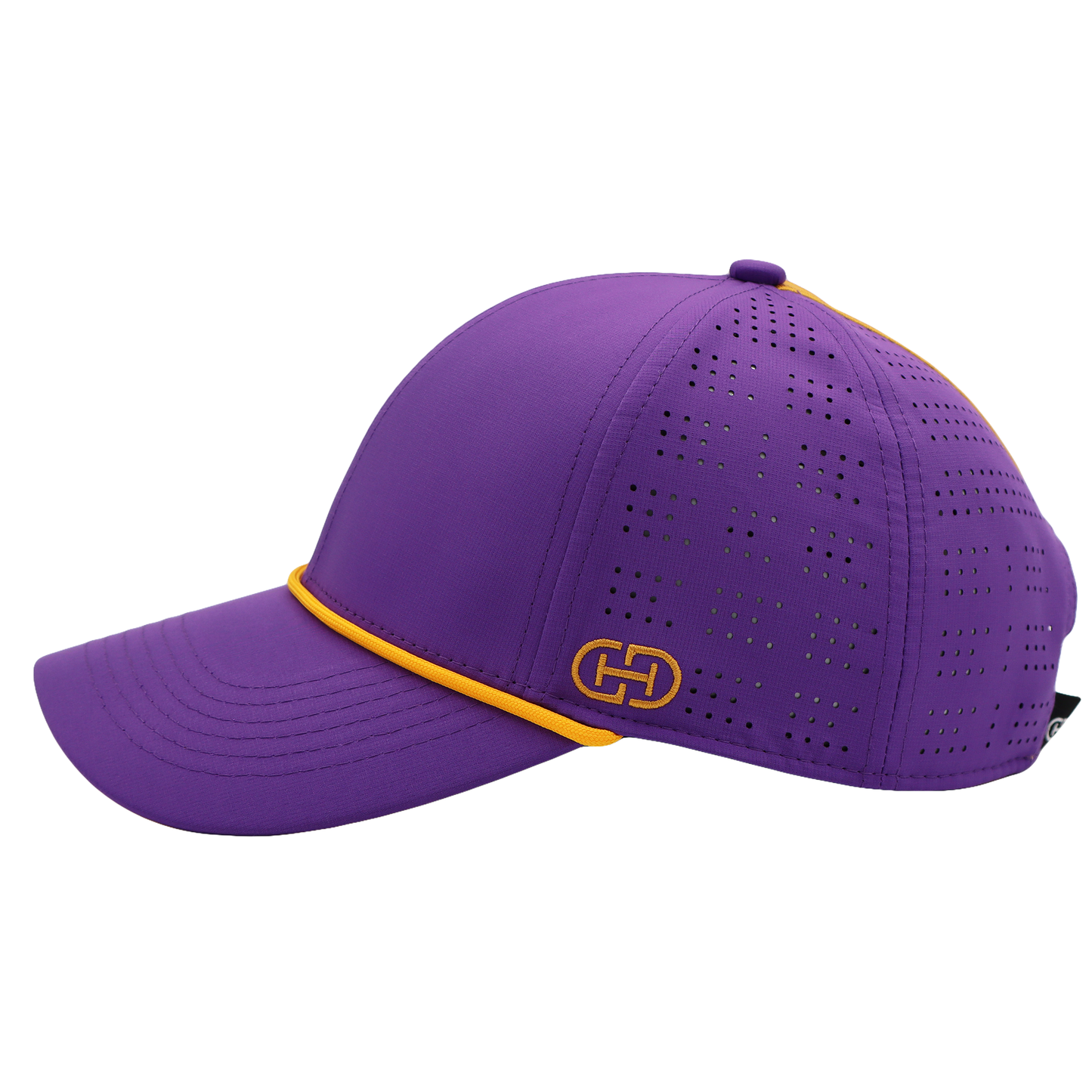 Dynamic Duo 6.0 Classic Hat | Purple & Yellow