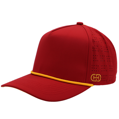 IOWA STATE HUE